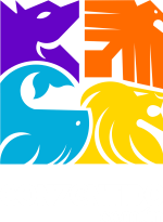 Conzentido Común